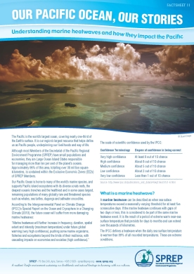 factsheet 11