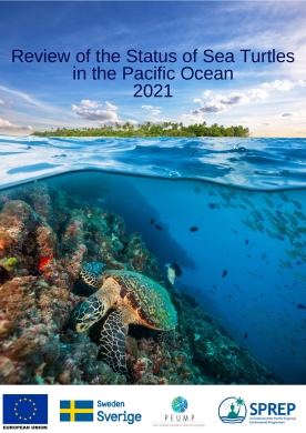 review-status-seaturtles-Oceania-2021