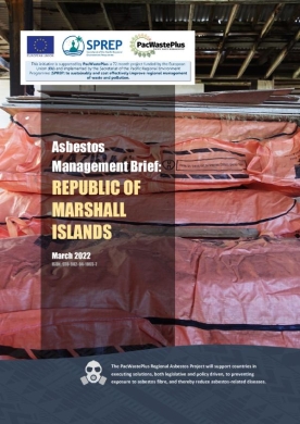 RMI asbestos