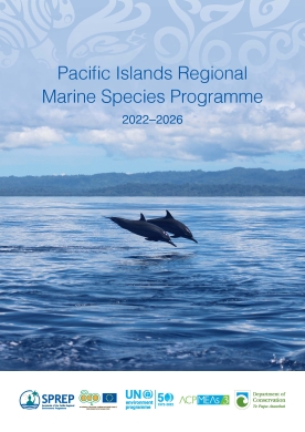 PIRMSP2022-2026