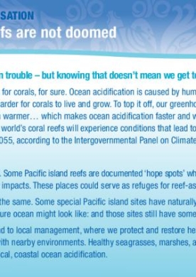 reefs-not-doomed