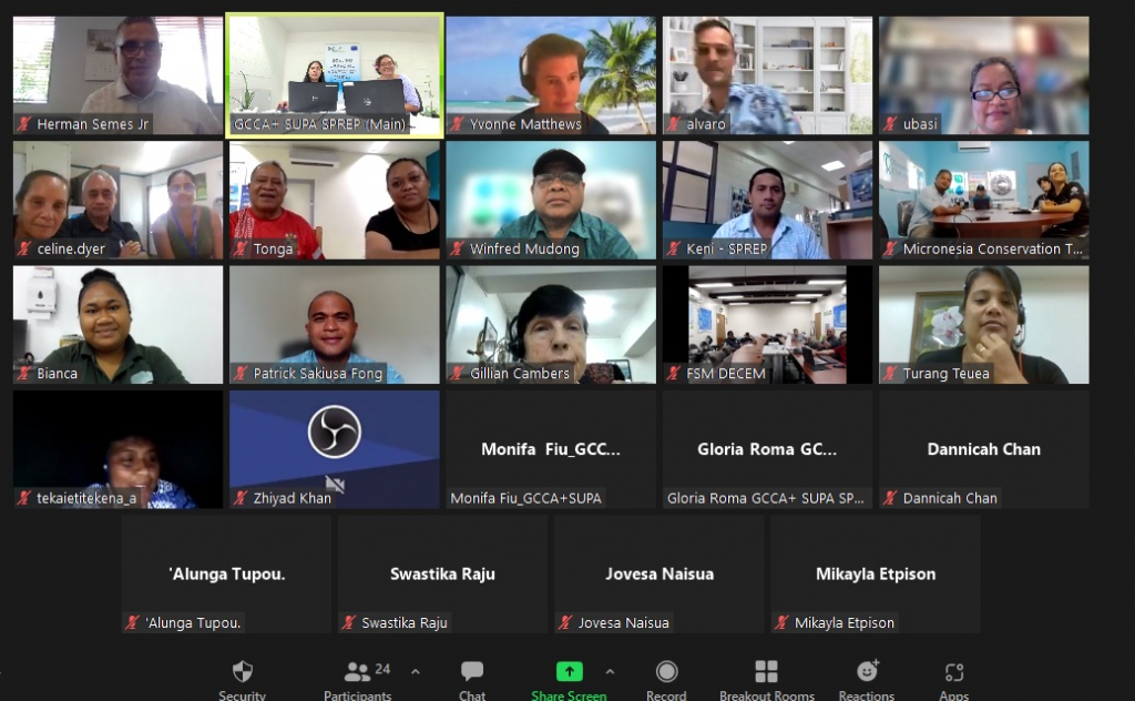 The participants of the virtual meeting