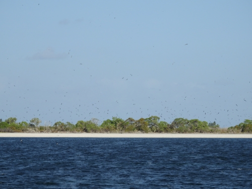 Image%201%20Mainly%20Te%20Ruru%20over%20Nimroona%202016-1206-R%20Pierce_Kiribati.JPG